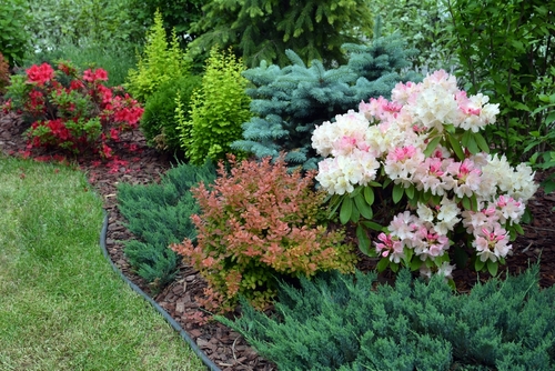 Simple Low-Maintenance Landscaping Ideas for Your Rental Property ...